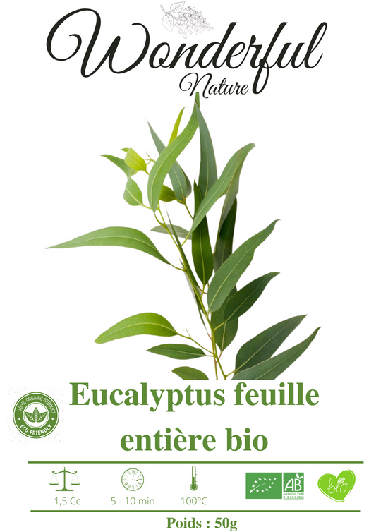 Eucalyptus feuille entière bio - Wonderful Nature