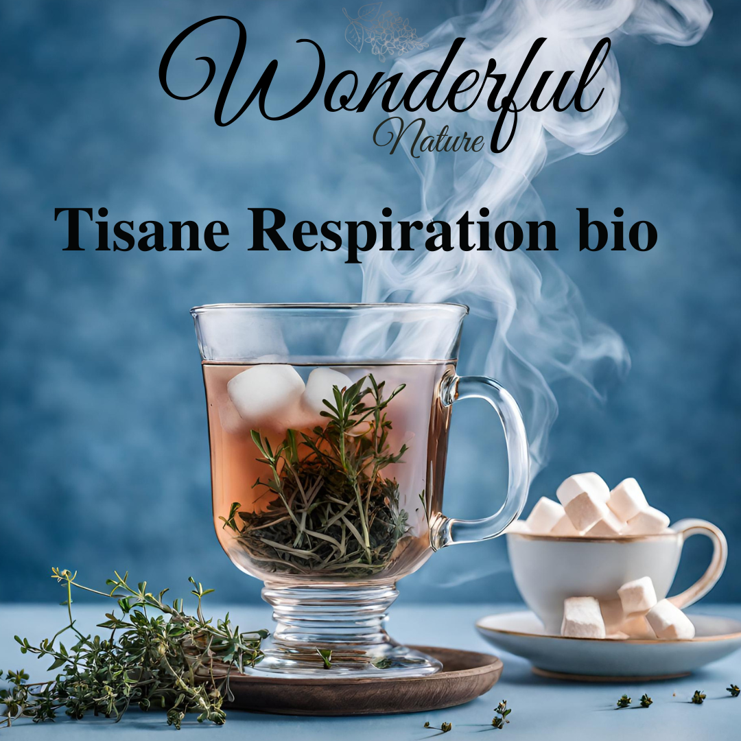 Tisane Respiration bio infusette - Wonderful Nature
