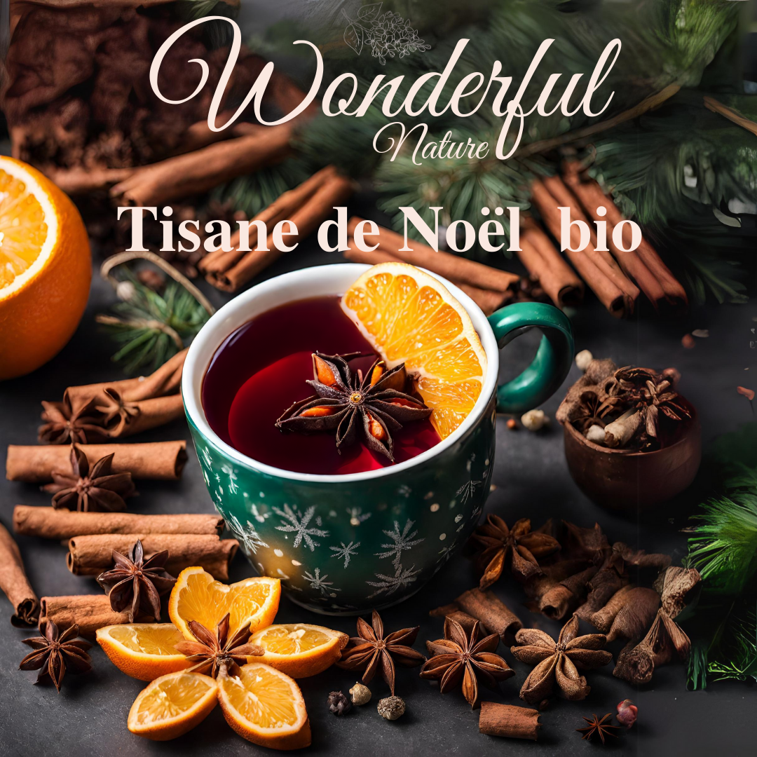 Tisane de Noël bio en infusette - Wonderful Nature