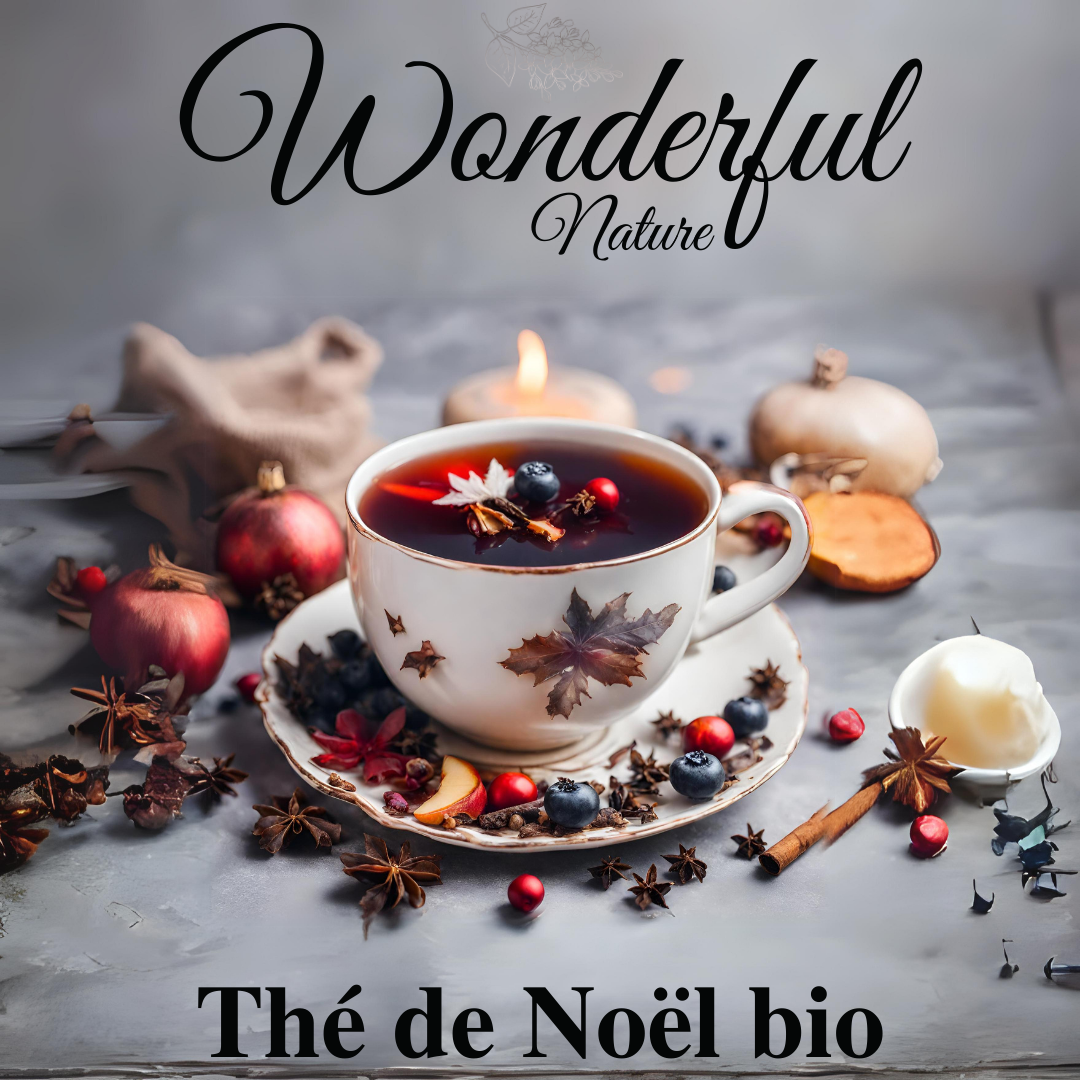 Thé de Noël bio en infusette - Wonderful Nature
