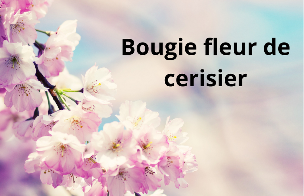 Bougie artisanale Fleur de Cerisier - Wonderful Nature