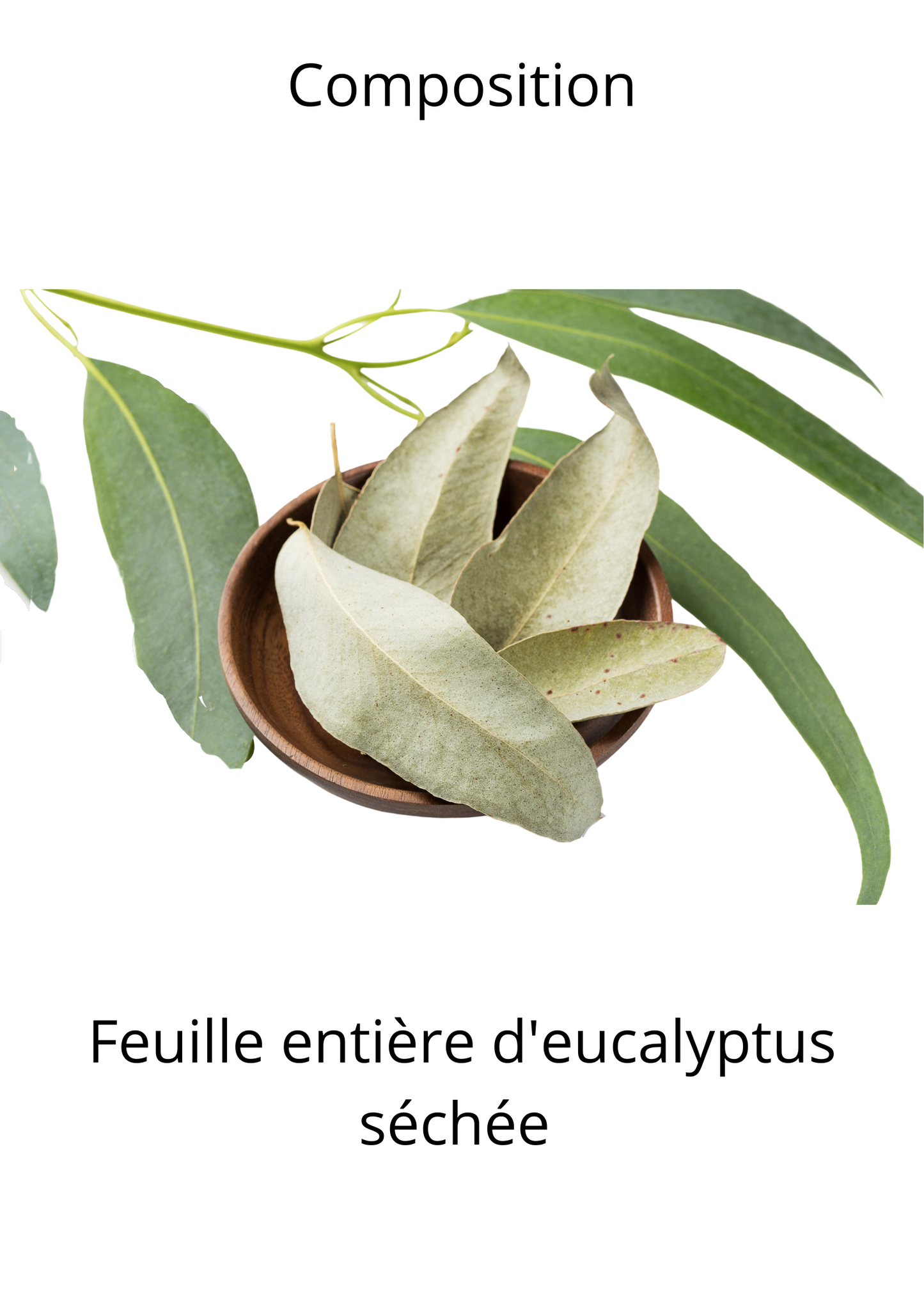 Eucalyptus feuille entière bio - Wonderful Nature