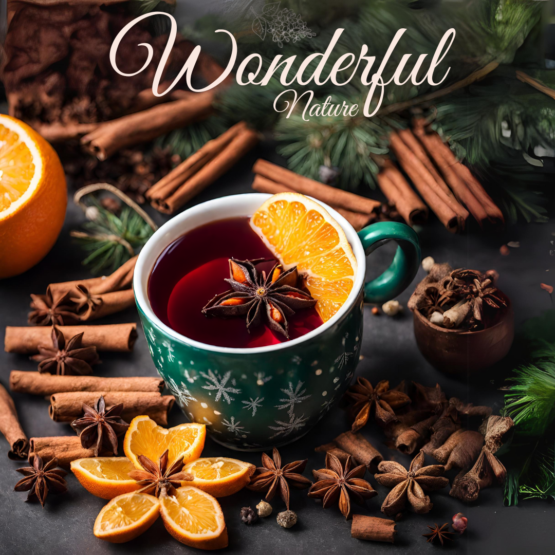 Tisane de Noël bio en infusette - Wonderful Nature