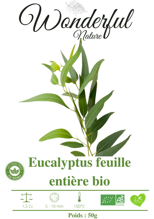 Organic whole leaf eucalyptus