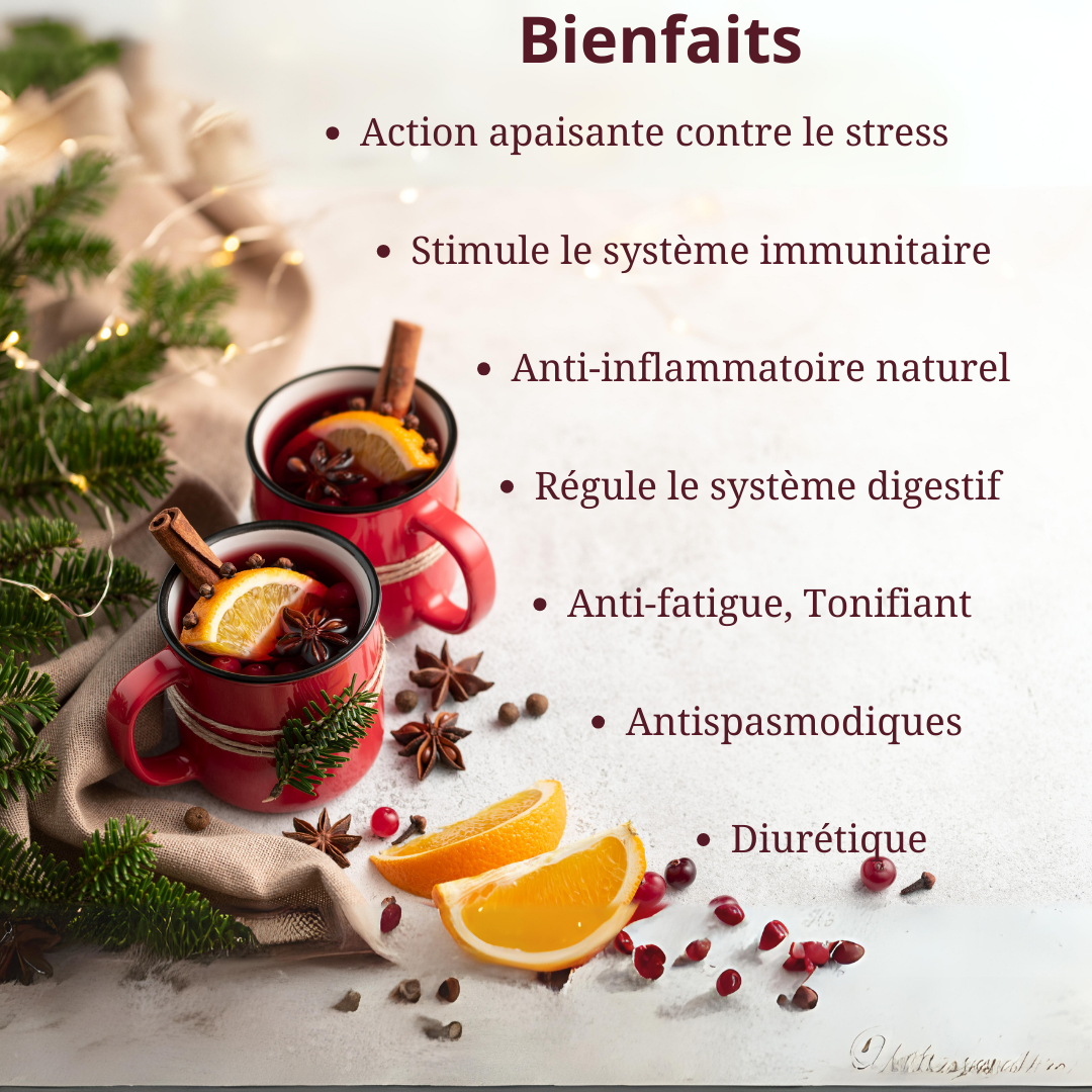 Tisane de Noël bio en infusette - Wonderful Nature