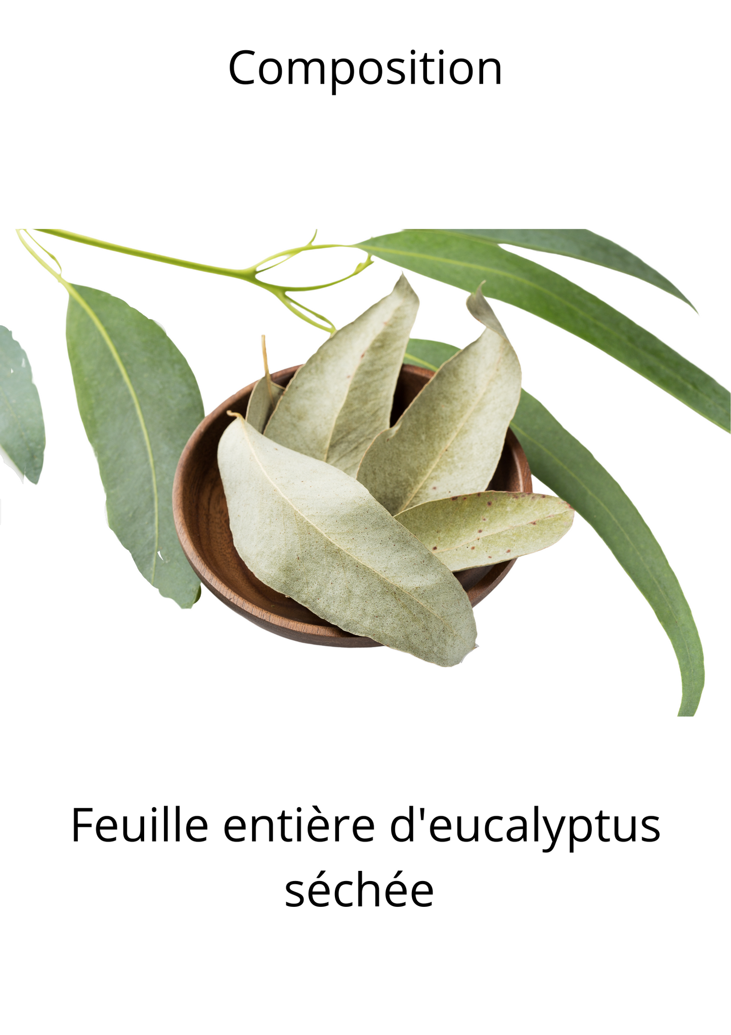 Organic whole leaf eucalyptus