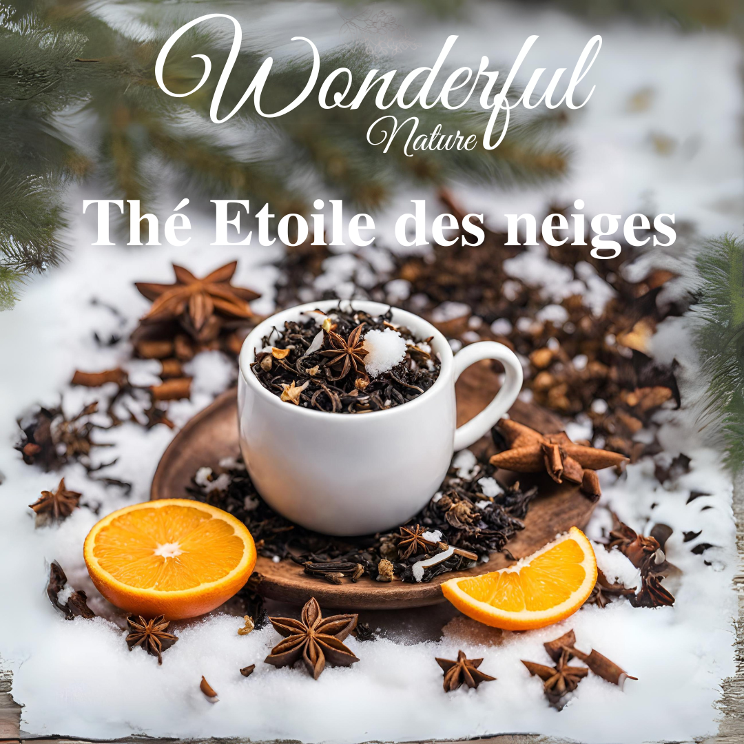 Thé Etoile des Neiges bio en infusette - Wonderful Nature